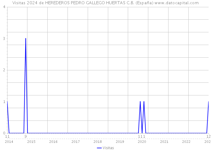 Visitas 2024 de HEREDEROS PEDRO GALLEGO HUERTAS C.B. (España) 