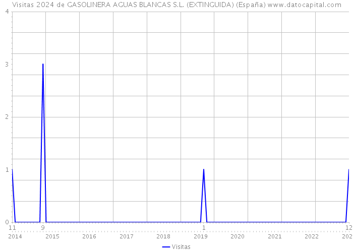 Visitas 2024 de GASOLINERA AGUAS BLANCAS S.L. (EXTINGUIDA) (España) 