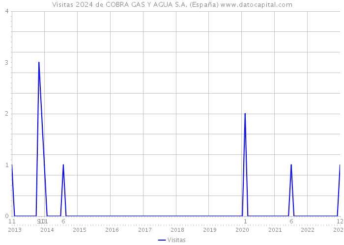 Visitas 2024 de COBRA GAS Y AGUA S.A. (España) 
