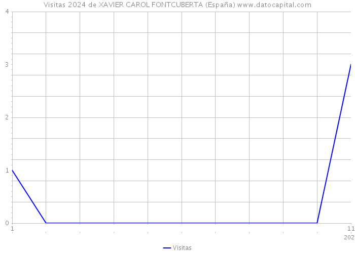 Visitas 2024 de XAVIER CAROL FONTCUBERTA (España) 