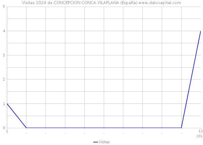 Visitas 2024 de CONCEPCION CONCA VILAPLANA (España) 