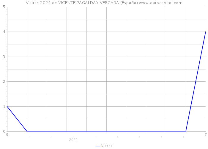 Visitas 2024 de VICENTE PAGALDAY VERGARA (España) 