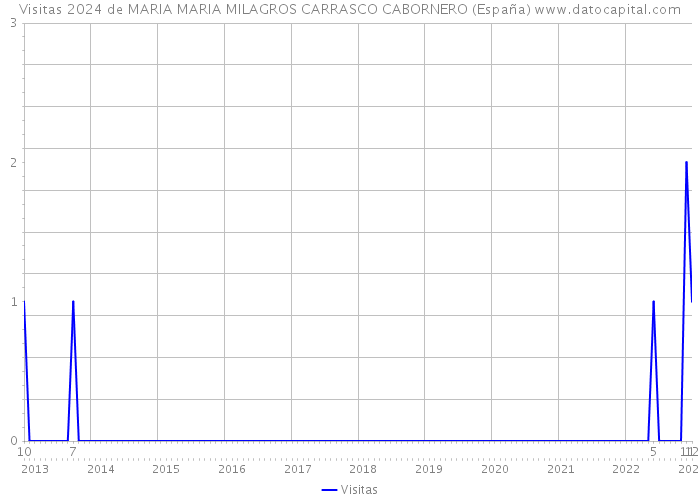 Visitas 2024 de MARIA MARIA MILAGROS CARRASCO CABORNERO (España) 