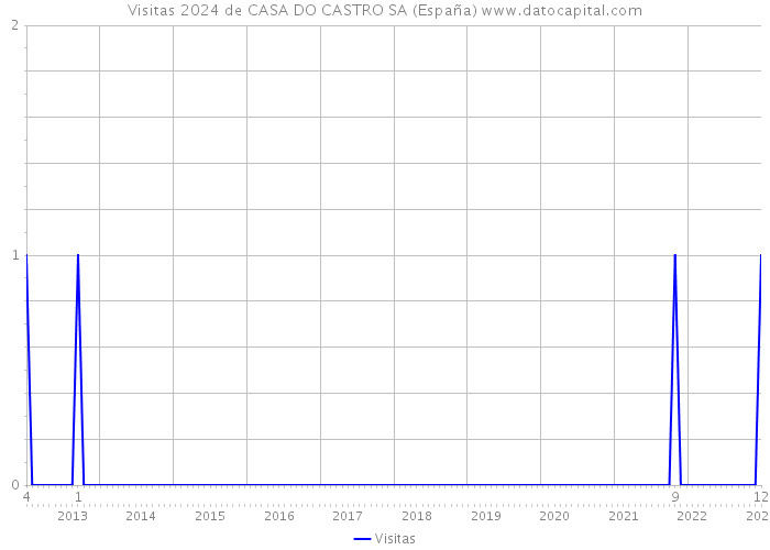 Visitas 2024 de CASA DO CASTRO SA (España) 