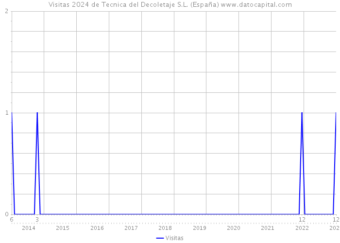 Visitas 2024 de Tecnica del Decoletaje S.L. (España) 