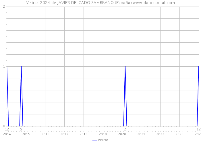 Visitas 2024 de JAVIER DELGADO ZAMBRANO (España) 