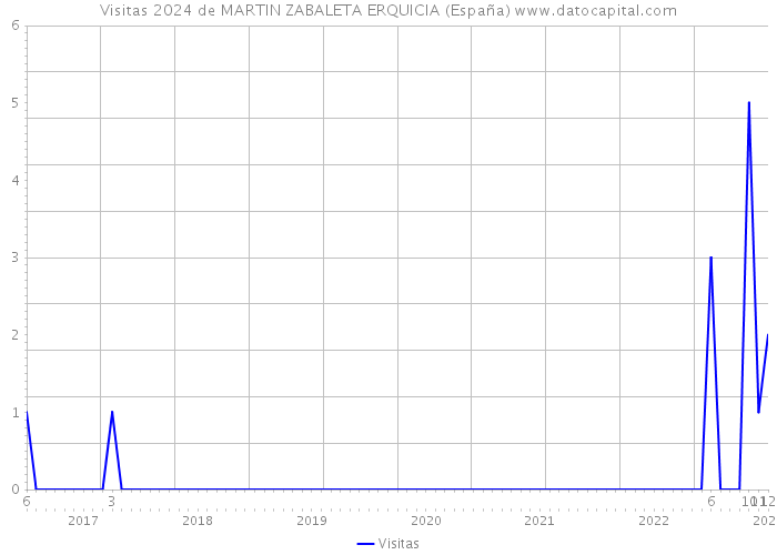 Visitas 2024 de MARTIN ZABALETA ERQUICIA (España) 