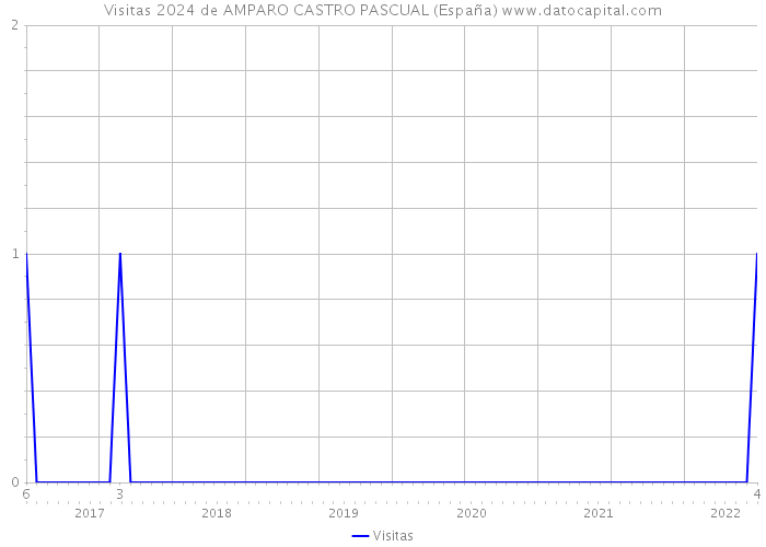 Visitas 2024 de AMPARO CASTRO PASCUAL (España) 