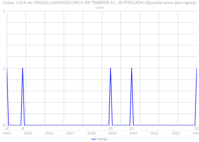 Visitas 2024 de CIRUGIA LAPAROSCOPICA DE TENERIFE S.L. (EXTINGUIDA) (España) 