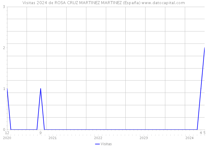 Visitas 2024 de ROSA CRUZ MARTINEZ MARTINEZ (España) 