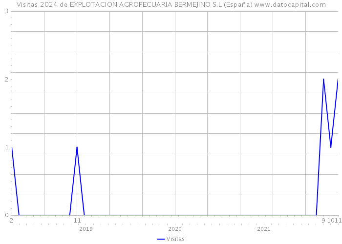 Visitas 2024 de EXPLOTACION AGROPECUARIA BERMEJINO S.L (España) 