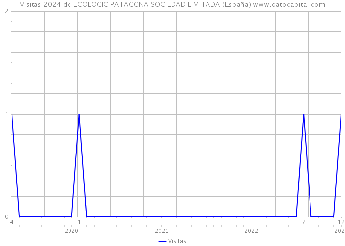 Visitas 2024 de ECOLOGIC PATACONA SOCIEDAD LIMITADA (España) 