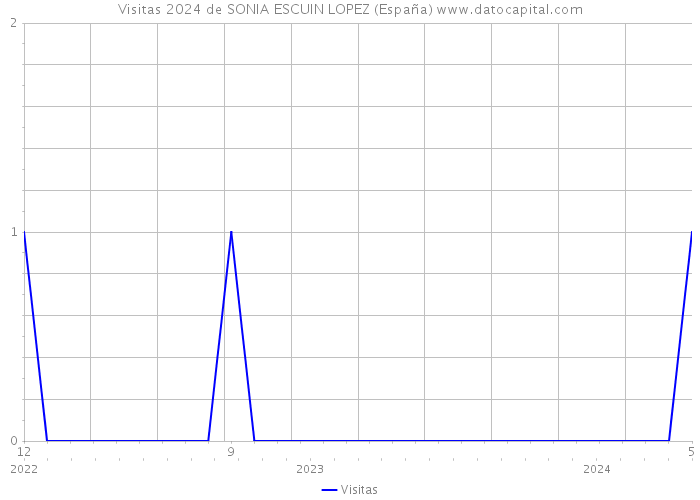 Visitas 2024 de SONIA ESCUIN LOPEZ (España) 