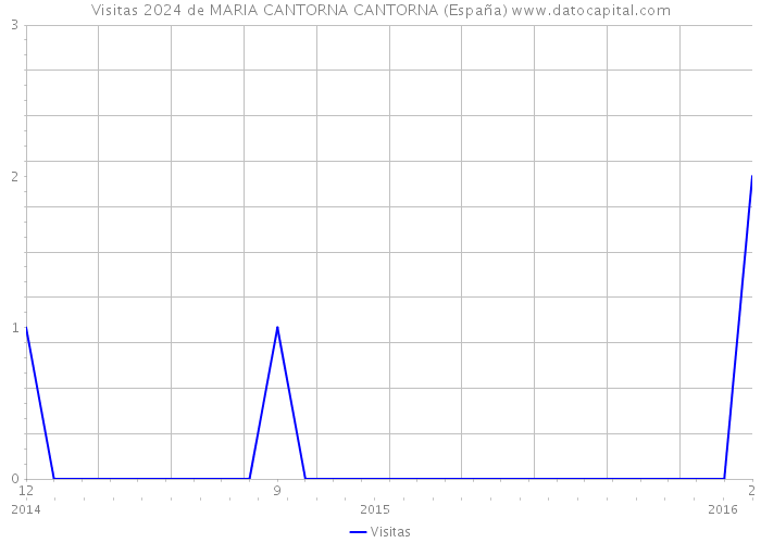 Visitas 2024 de MARIA CANTORNA CANTORNA (España) 