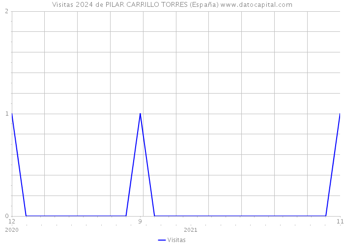 Visitas 2024 de PILAR CARRILLO TORRES (España) 