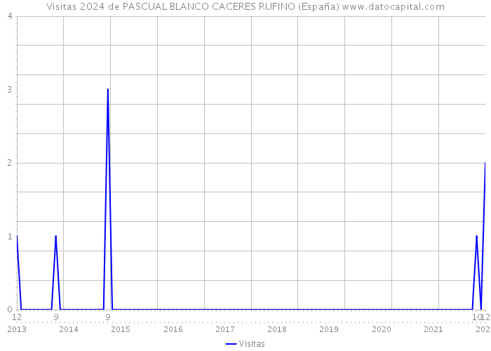 Visitas 2024 de PASCUAL BLANCO CACERES RUFINO (España) 