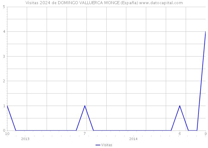 Visitas 2024 de DOMINGO VALLUERCA MONGE (España) 