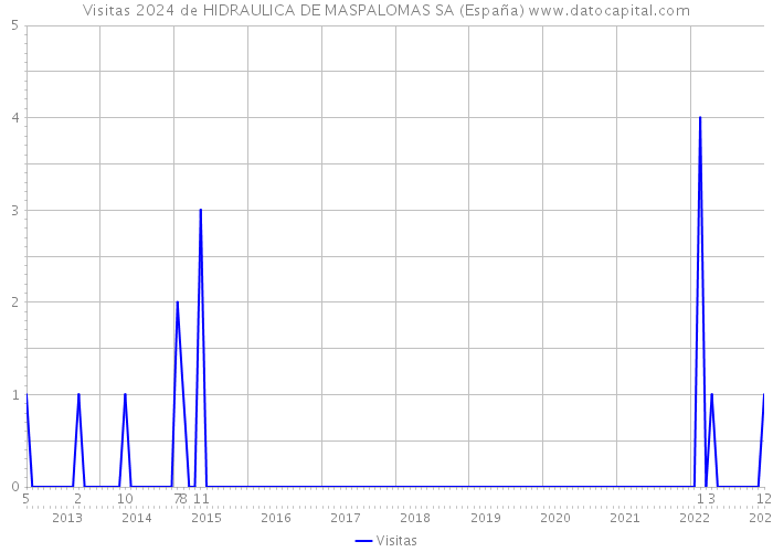 Visitas 2024 de HIDRAULICA DE MASPALOMAS SA (España) 