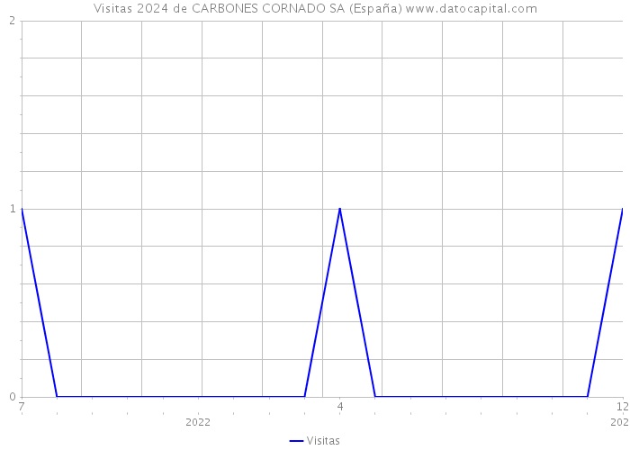 Visitas 2024 de CARBONES CORNADO SA (España) 