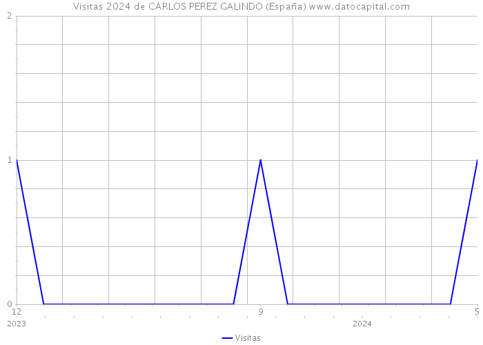 Visitas 2024 de CARLOS PEREZ GALINDO (España) 