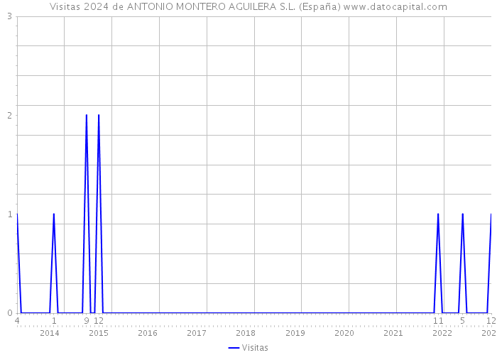 Visitas 2024 de ANTONIO MONTERO AGUILERA S.L. (España) 