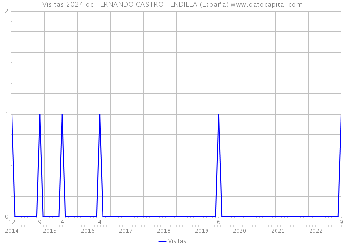 Visitas 2024 de FERNANDO CASTRO TENDILLA (España) 