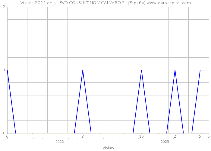 Visitas 2024 de NUEVO CONSULTING VICALVARO SL (España) 