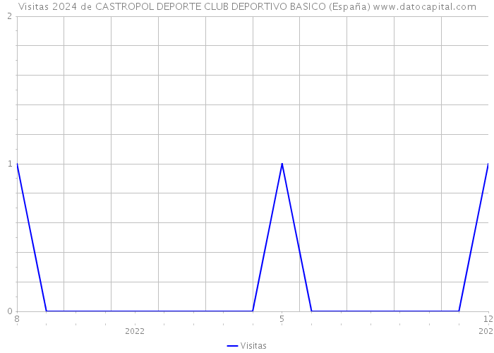 Visitas 2024 de CASTROPOL DEPORTE CLUB DEPORTIVO BASICO (España) 
