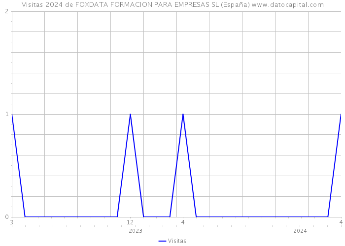 Visitas 2024 de FOXDATA FORMACION PARA EMPRESAS SL (España) 