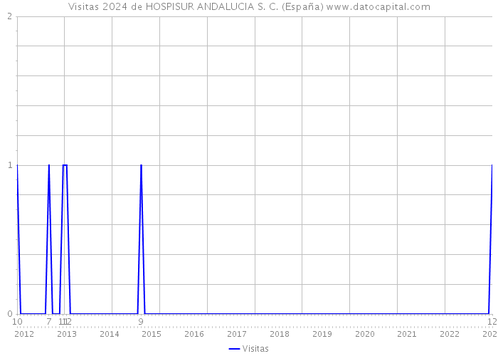 Visitas 2024 de HOSPISUR ANDALUCIA S. C. (España) 