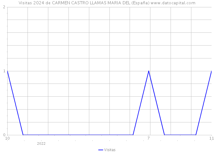 Visitas 2024 de CARMEN CASTRO LLAMAS MARIA DEL (España) 