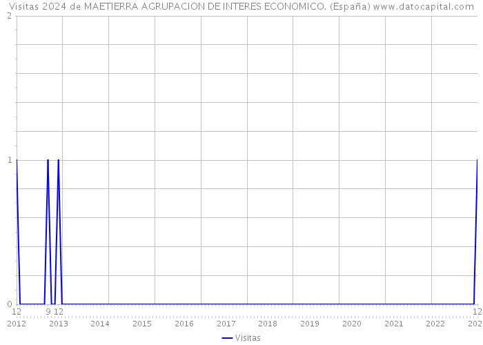 Visitas 2024 de MAETIERRA AGRUPACION DE INTERES ECONOMICO. (España) 