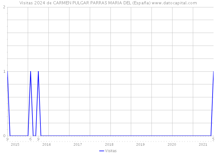 Visitas 2024 de CARMEN PULGAR PARRAS MARIA DEL (España) 