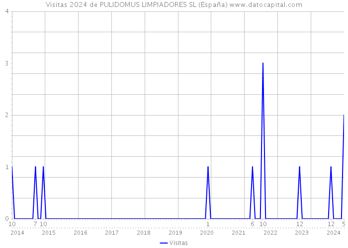 Visitas 2024 de PULIDOMUS LIMPIADORES SL (España) 