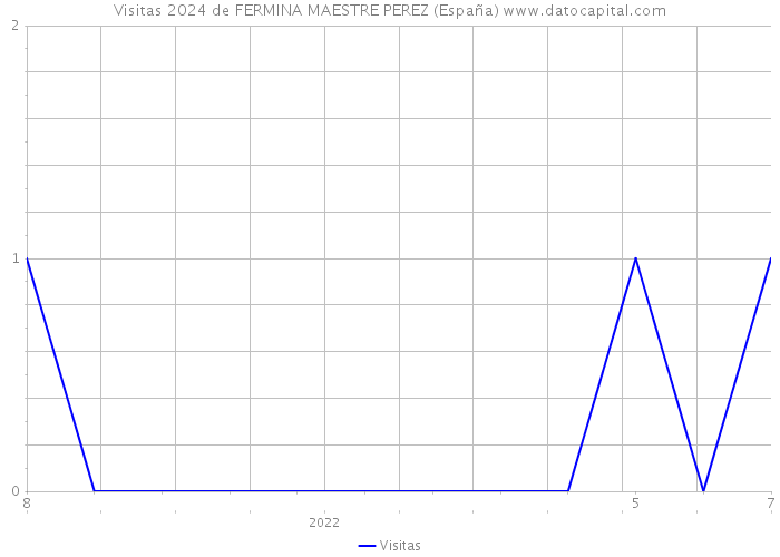 Visitas 2024 de FERMINA MAESTRE PEREZ (España) 