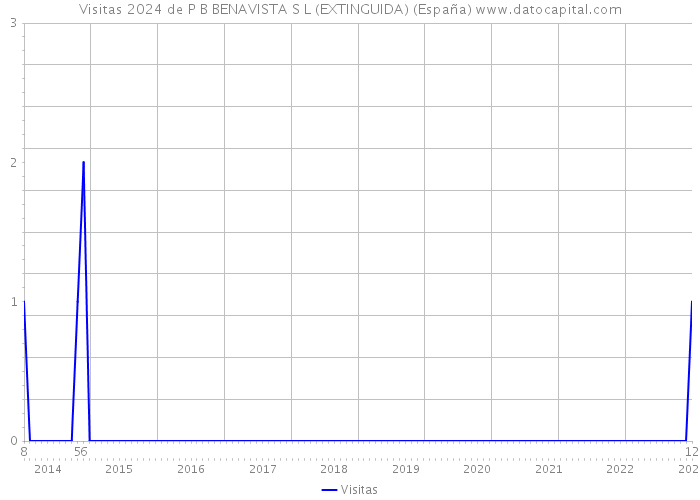 Visitas 2024 de P B BENAVISTA S L (EXTINGUIDA) (España) 