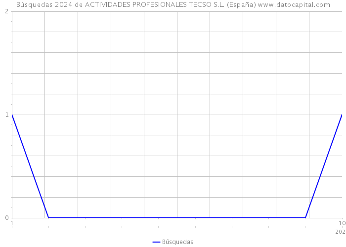 Búsquedas 2024 de ACTIVIDADES PROFESIONALES TECSO S.L. (España) 