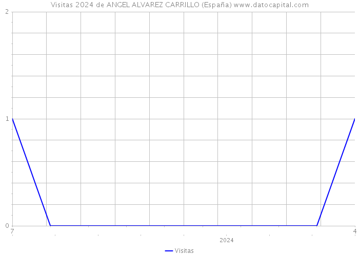 Visitas 2024 de ANGEL ALVAREZ CARRILLO (España) 