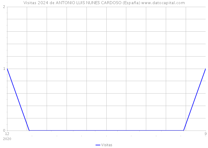 Visitas 2024 de ANTONIO LUIS NUNES CARDOSO (España) 