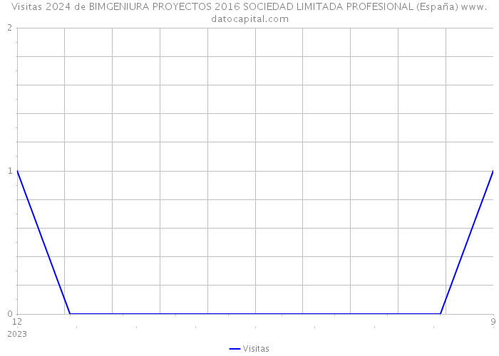 Visitas 2024 de BIMGENIURA PROYECTOS 2016 SOCIEDAD LIMITADA PROFESIONAL (España) 