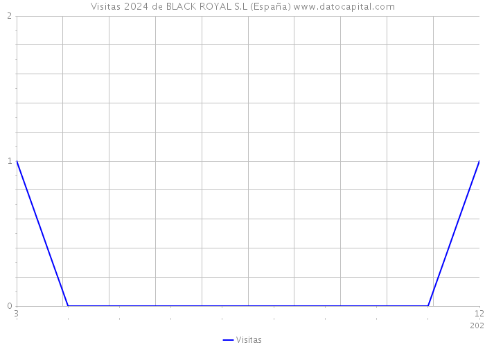 Visitas 2024 de BLACK ROYAL S.L (España) 