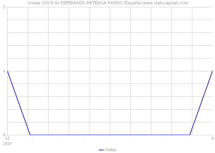 Visitas 2024 de ESPERANZA ARTEAGA PARDO (España) 