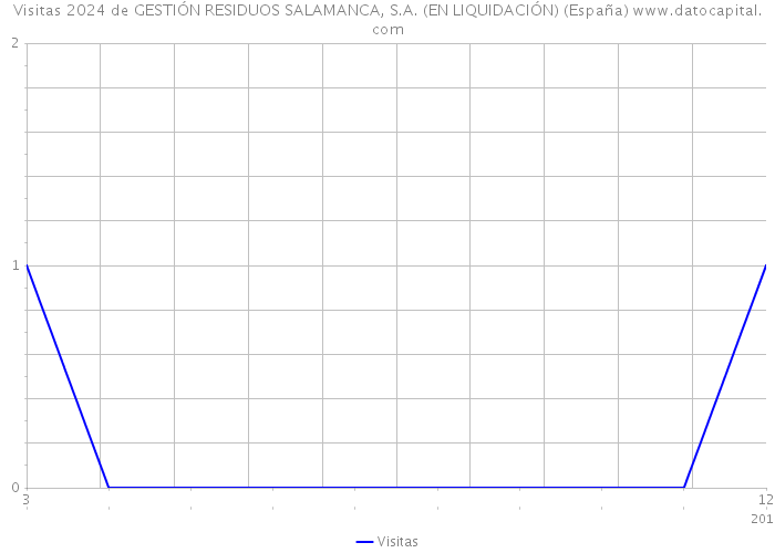Visitas 2024 de GESTIÓN RESIDUOS SALAMANCA, S.A. (EN LIQUIDACIÓN) (España) 