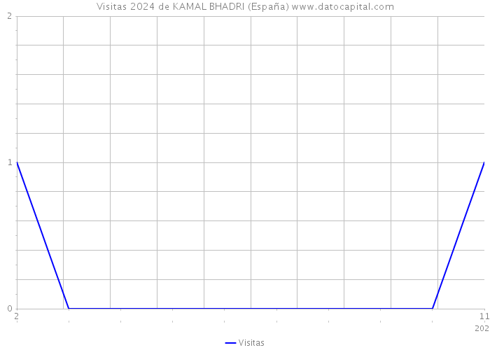 Visitas 2024 de KAMAL BHADRI (España) 