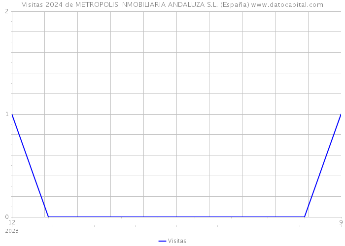 Visitas 2024 de METROPOLIS INMOBILIARIA ANDALUZA S.L. (España) 