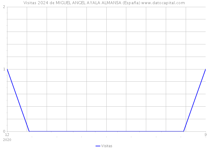 Visitas 2024 de MIGUEL ANGEL AYALA ALMANSA (España) 