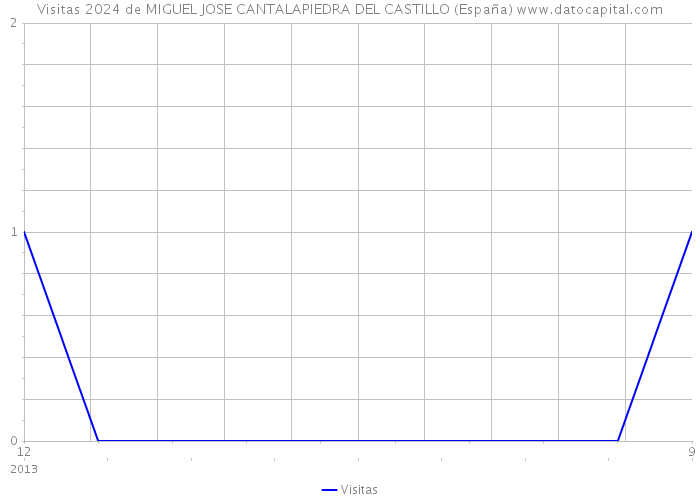 Visitas 2024 de MIGUEL JOSE CANTALAPIEDRA DEL CASTILLO (España) 