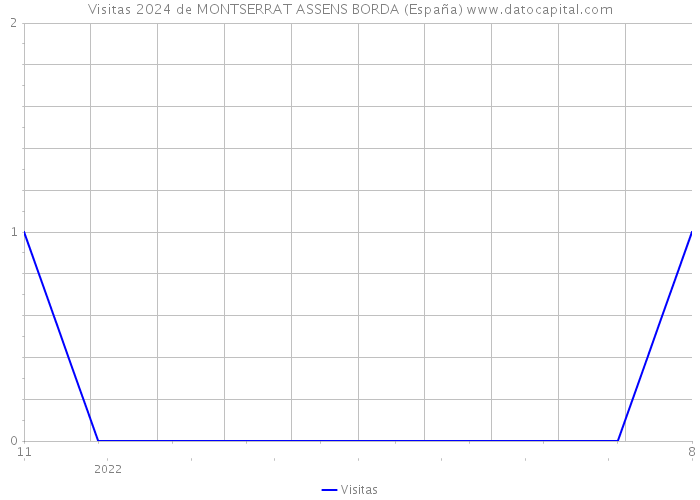 Visitas 2024 de MONTSERRAT ASSENS BORDA (España) 