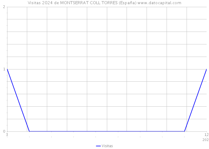Visitas 2024 de MONTSERRAT COLL TORRES (España) 