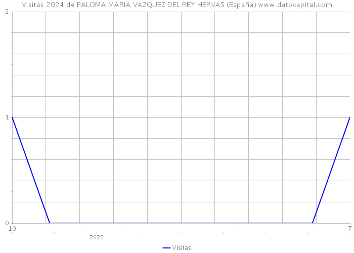 Visitas 2024 de PALOMA MARIA VAZQUEZ DEL REY HERVAS (España) 